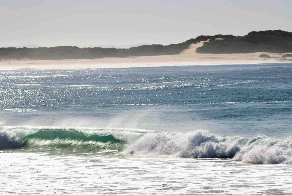 Apartment Sanddollar - Self Catering Seaside Getaway